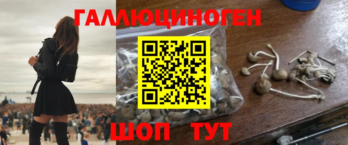Галлюциногенные грибы Psilocybe  Вход с VPN  Псилоцибиновые грибы MAGIC MUSHROOMS  Тюмень 